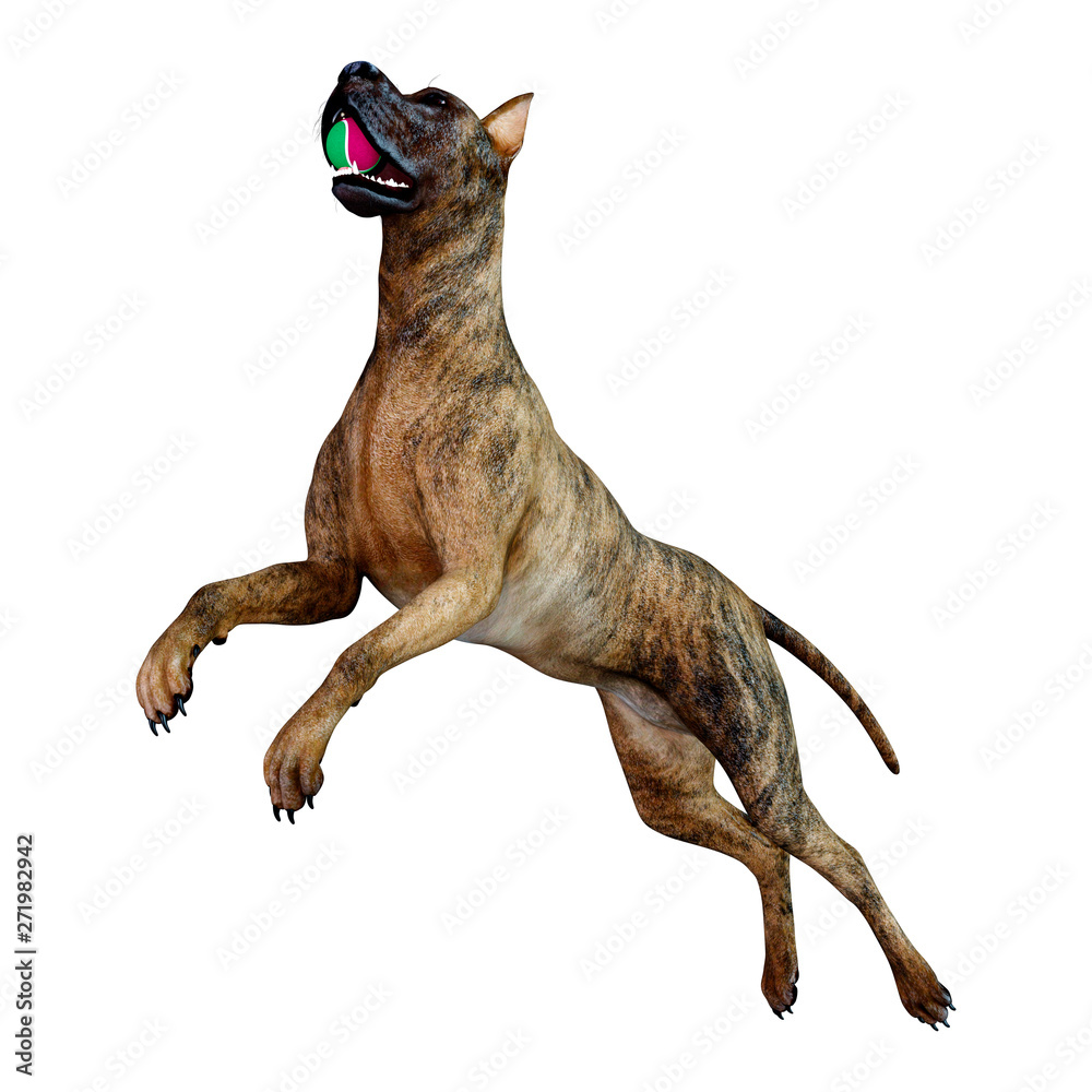 3D Rendering Brindle Great Dane Dog on White - obrazy, fototapety, plakaty 