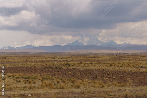 dry landscape along the roadside in peru