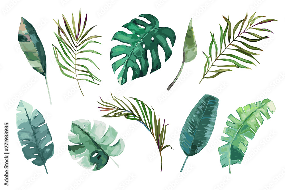 Tropical watercolor leaves set. Vector illustration. Isolated image - obrazy, fototapety, plakaty 