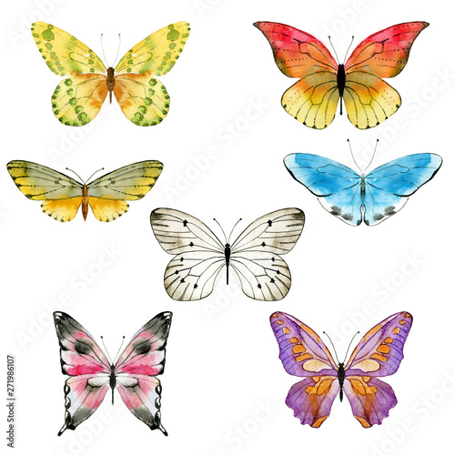 Watercolor collection of butterfly and moth