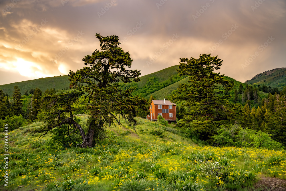 Backcountry Cabin Off The Grid