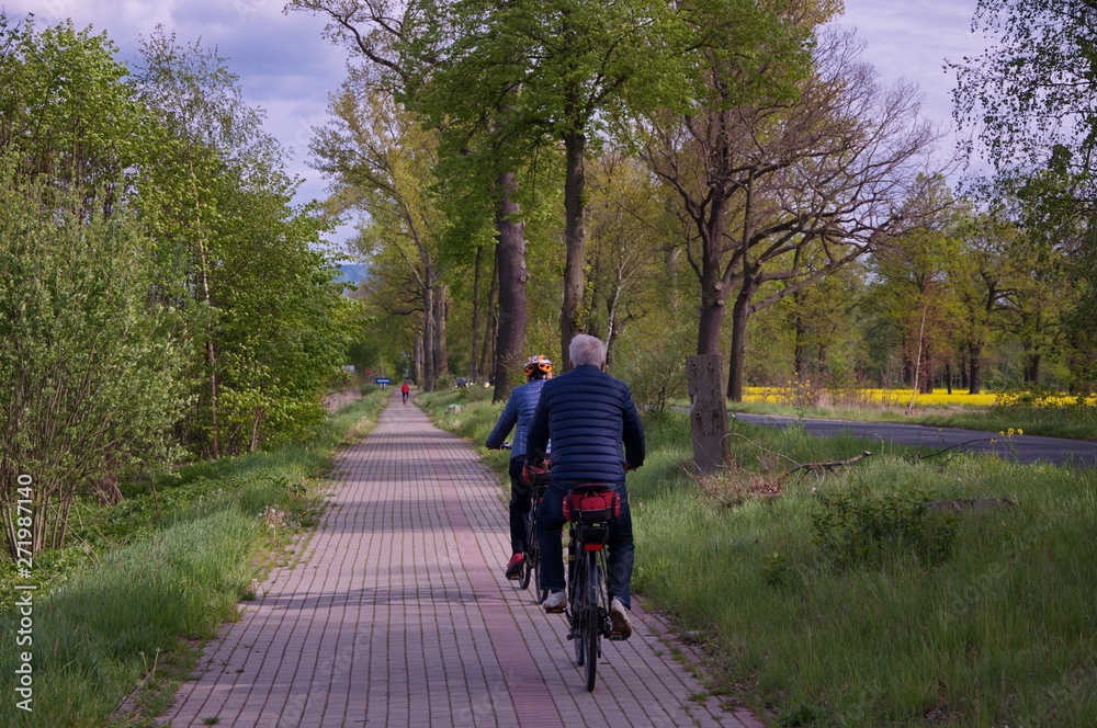 Elderly couple riding bicycles through the countryside. Elderly couple riding bicycles through the countryside.