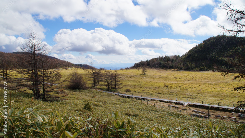 Hiking trail in Japanese plateau Bog