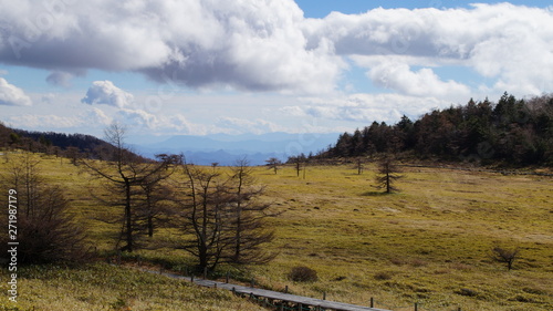 Fototapeta Naklejka Na Ścianę i Meble -  Hiking trail in Japanese plateau Bog