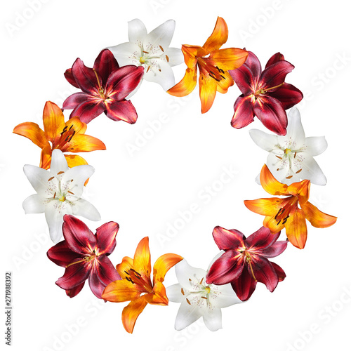 Beautiful floral circle of white, orange and burgundy lilies. Isolated