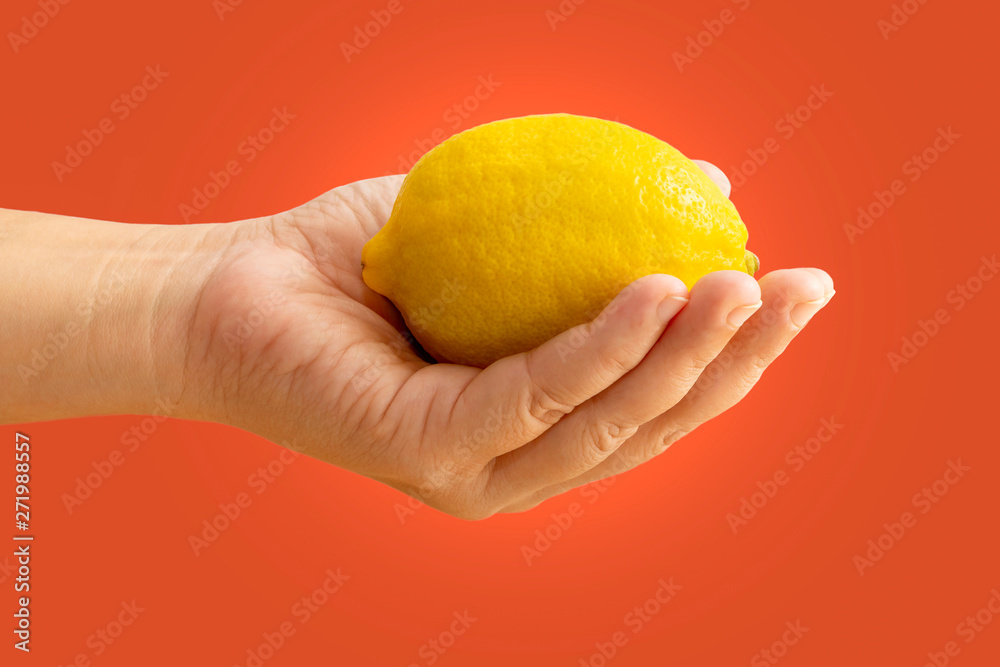 Woman holding a lemon into the hands on bright orange background. Woman holding a lemon into the hands on bright orange background.