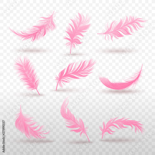Vector 3d realistic various pink feather set Isolated on transparency grid.