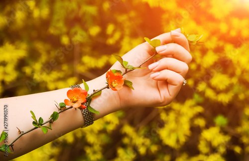 flower with thorns lay on hand with sunset bacground. Honey picture, close up shot. Red flowers. Unrequited love. Nature fashion.  Unrequited love photo