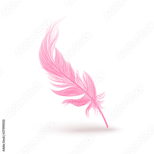 Pink bird's feather falling vertically 3d realistic vector illustration isolated.