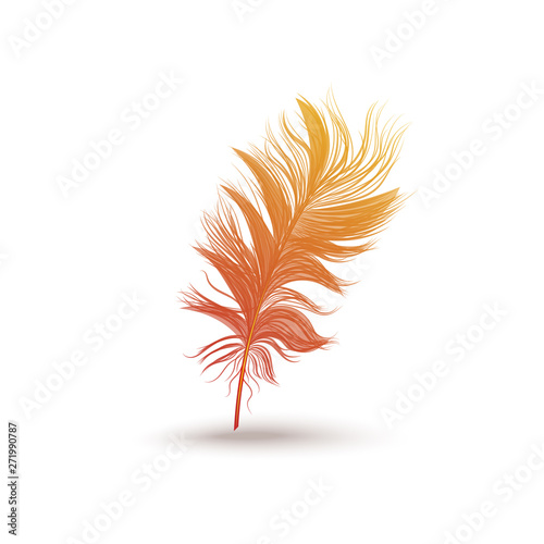 Fluffy feather from the wing of a fantastic bird.