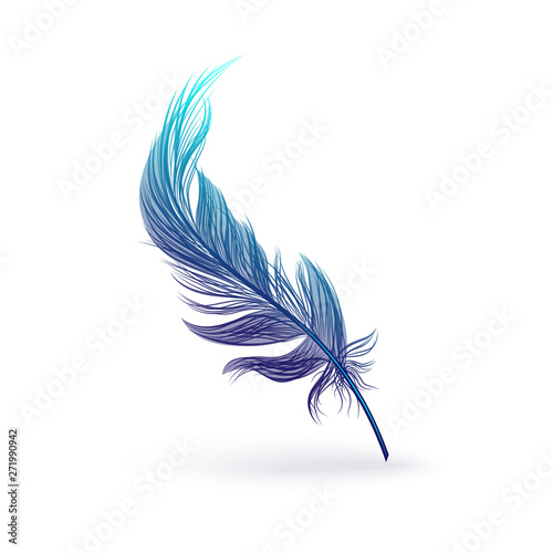 Carta da parati Beautiful fantastic feather with bird wing.