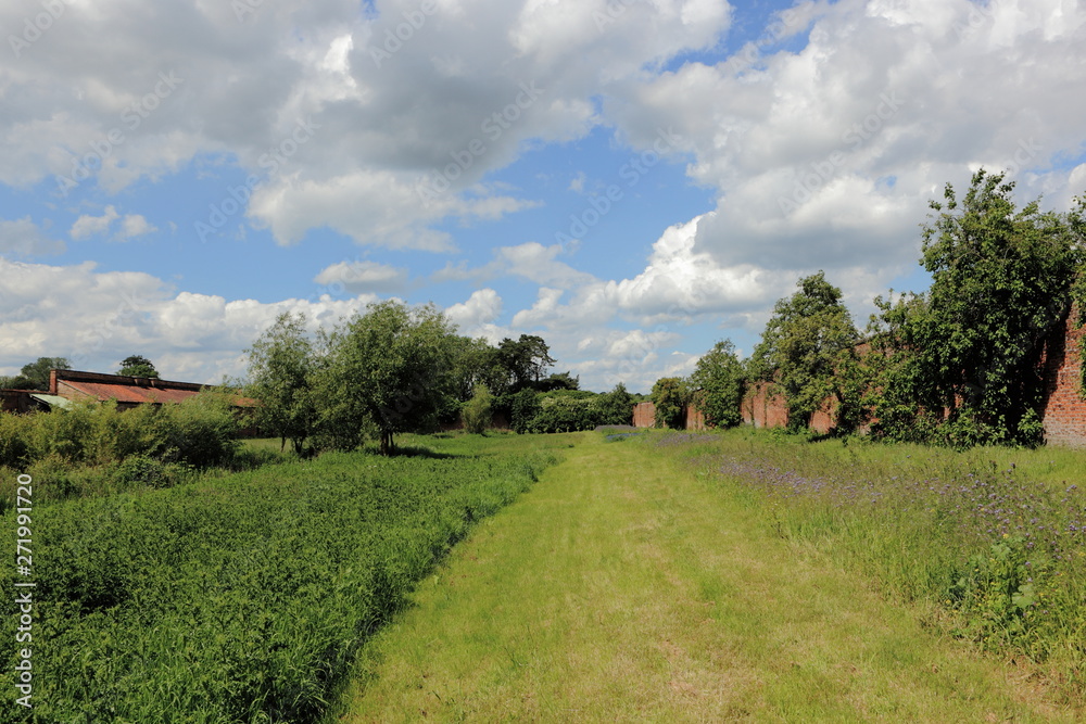 Conservation area of a walled garden with fruit trees and flowering meadows in summertime