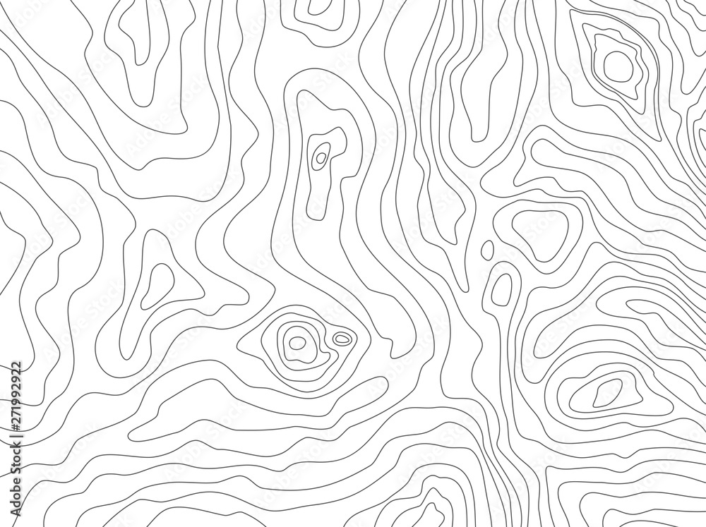 vector abstract map pattern with wavy lines