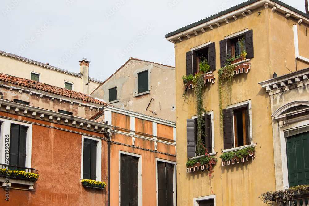 Facades of multi-level buildings in the inner residential courtyard of Venice. Green plants on the facade of the building and on the windows, shutters, flowers on the balconies and window sills.