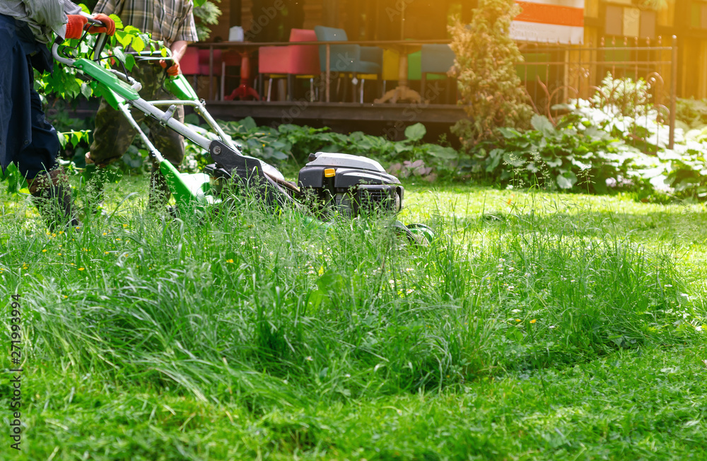 Green gasoline lawn mower on the grass in the park on the lawn