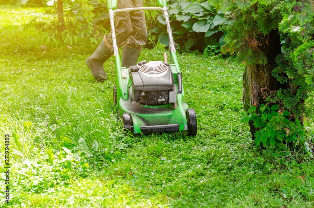 Fototapeta premium Worker mows the grass on the lawn in the park gasoline lawn mower