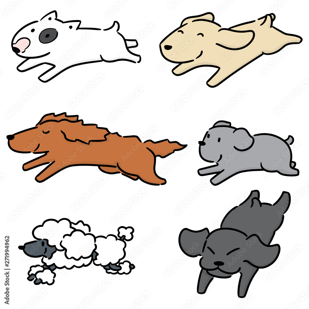 Fototapeta premium vector set of dog running