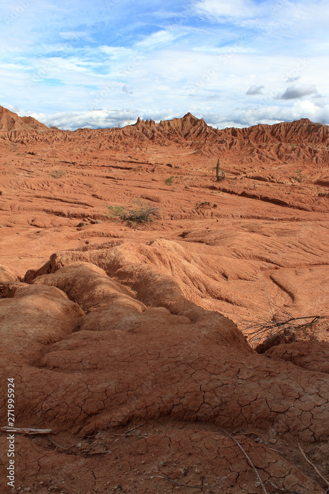 Fototapeta premium desierta