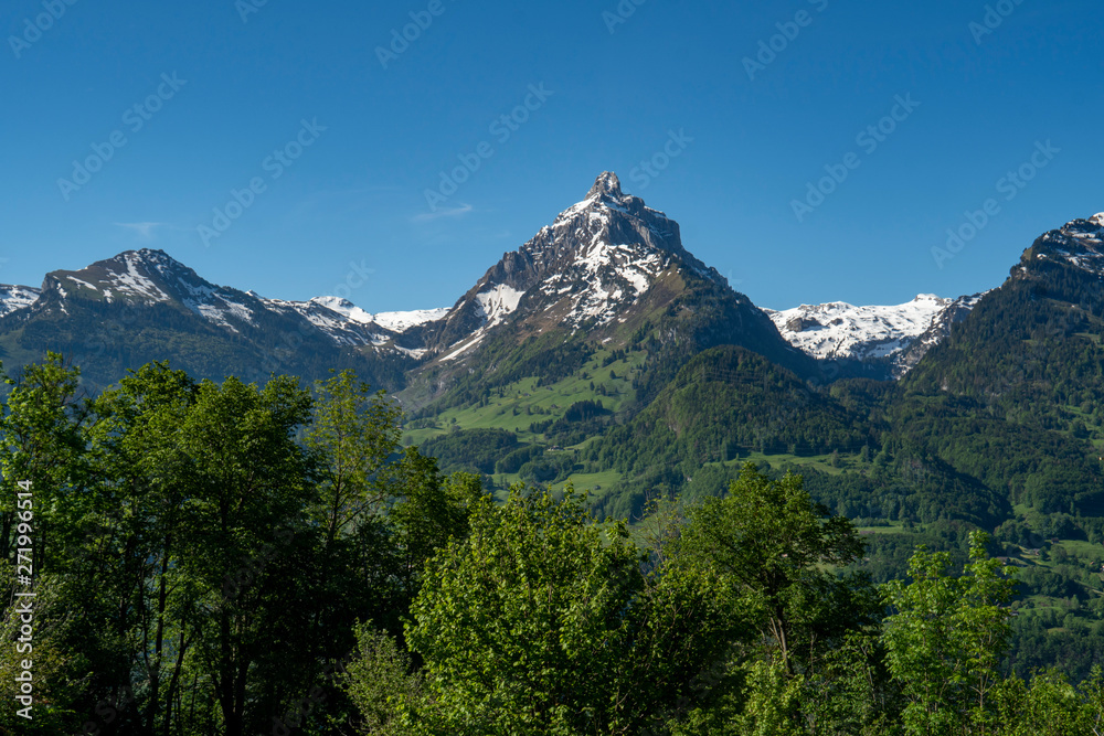 Schweizer Berg