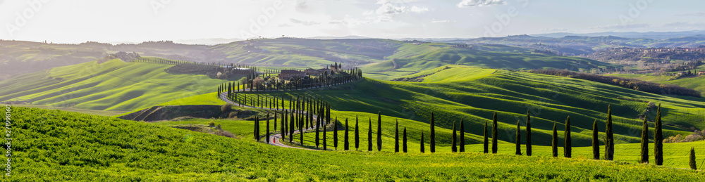 green fields and hills in Tuscany - obrazy, fototapety, plakaty 