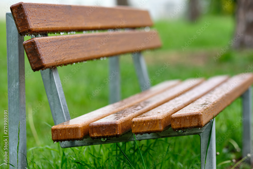 Fototapeta premium Brown wooden park bench with rain drops in front of a green meadow