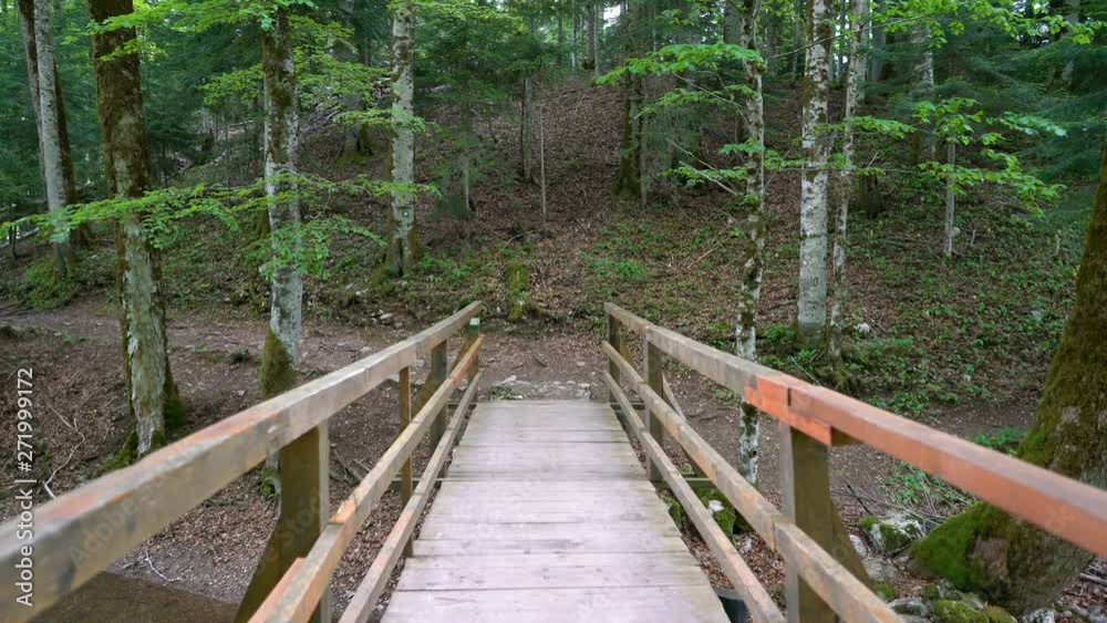 view of a personal perspective passage through a wooden bridge in the forest view of a personal perspective passage through a wooden bridge in the forest