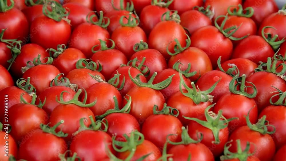 red tomatoes on the market red tomatoes on the market