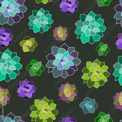 Vector seamless trendy pattern with succulents on the dark background. White contours. photo