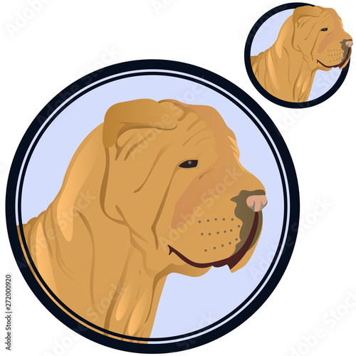 Shar pei dog head in circle