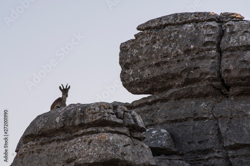 Torcal de Antequera (Málaga) España