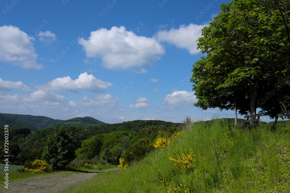 Eifellandschaft mit Ausblick und Holzbank und Wald und Wiesen und blauem Himmel - Stockfoto