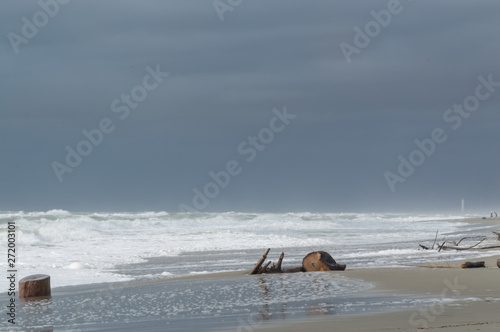 Obraz na plátně flotsam at the beach on a stormy day