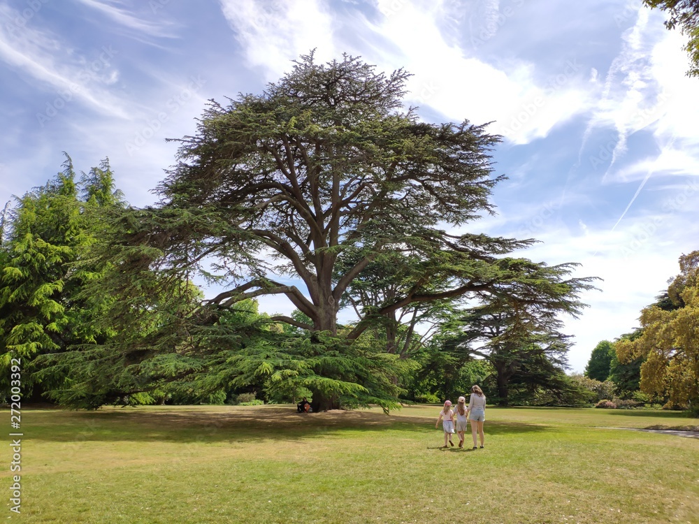 Family walking in park Family walking in park