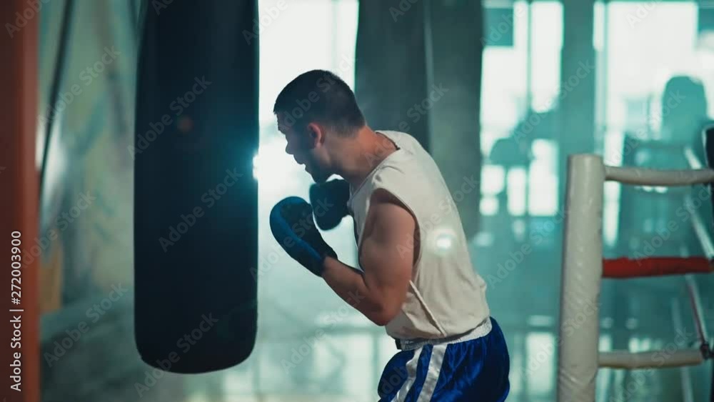 Handsome fighter practicing some kicks with a punching bag. Slow motion Handsome fighter practicing some kicks with a punching bag. Slow motion