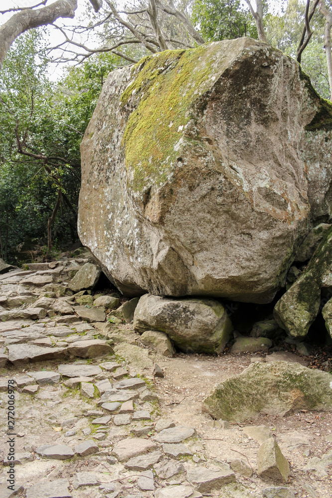 Huge boulder in the park at the track. Huge boulder in the park at the track.