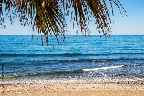 The Mediterranean Sea behind fan palm leaves at a Costa del Sol sandy beach in Marbella  Province of Malaga  Andalusia  Spain