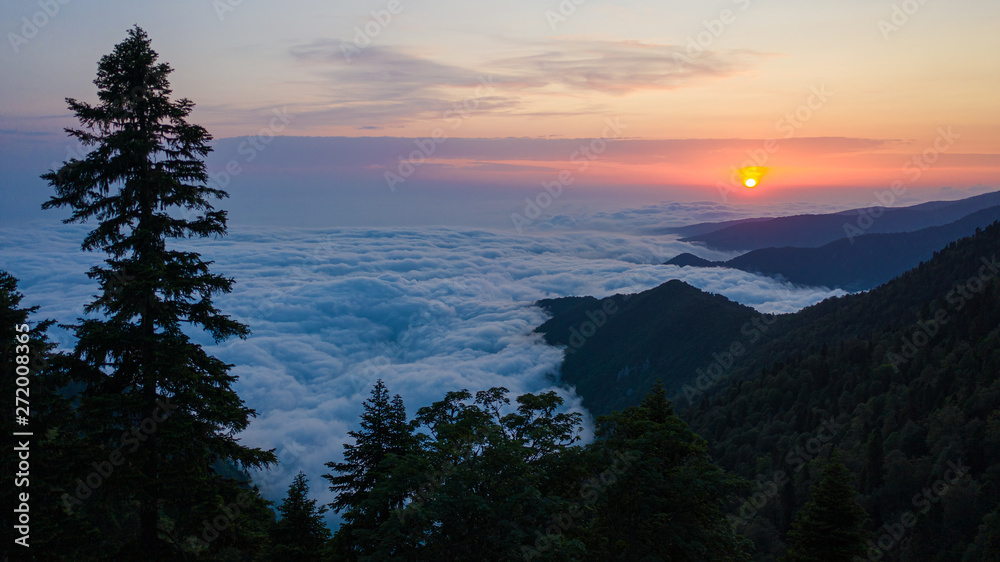 Aerial photography. Thick fog over the mountains. Sunset. Evening light. Dense clouds. Trees in the foreground. No people.