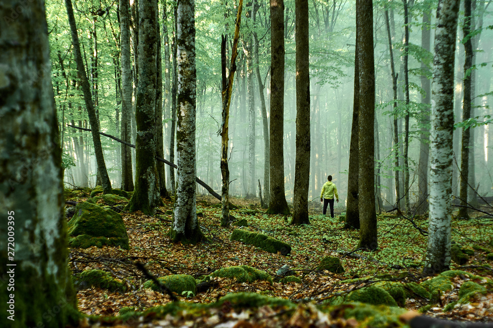 Obraz premium A man in a yellow raincoat stands in a foggy forest without a road. Lost in the woods.