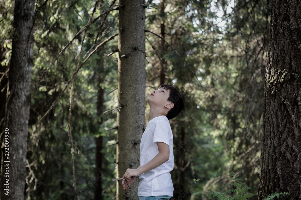The child in the forest, escaped from the house and was lost, the heavy relations in family, trouble, disagreement, physical punishments, the concept of problems of the relation of adults and children The child in the forest, escaped from the house and was lost, the heavy relations in family, trouble, disagreement, physical punishments, the concept of problems of the relation of adults and children