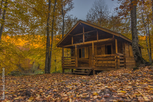 old wooden house in the forest