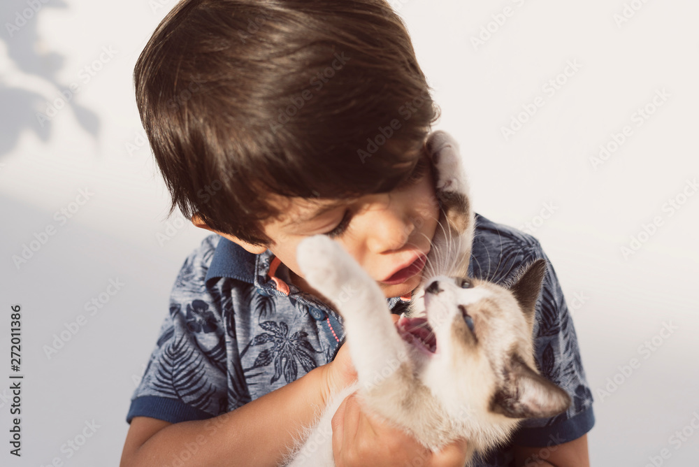 little children and pet puppy cat in outdoors image little children and pet puppy cat in outdoors image