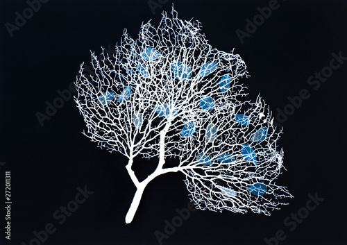 white tree with blue leaves on black