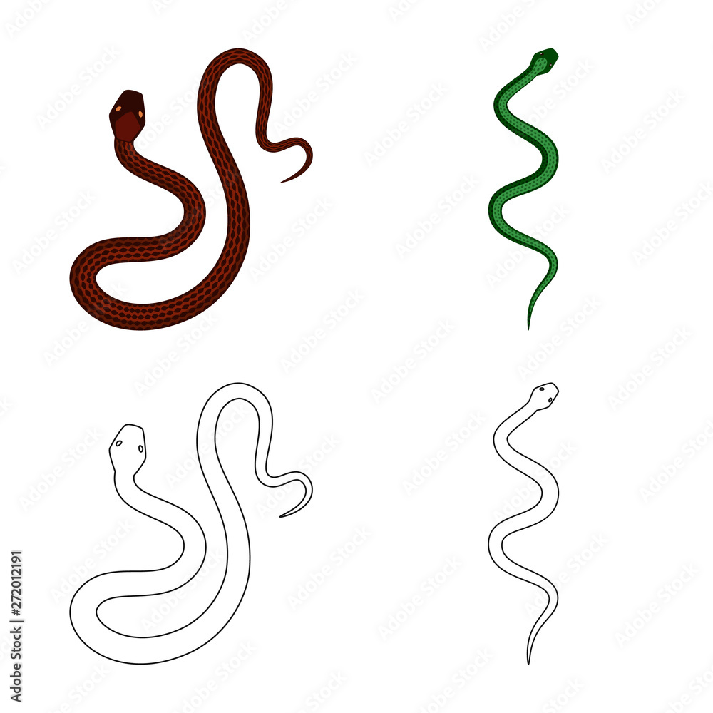 Vector illustration of mammal and danger logo. Set of mammal and medicine vector icon for stock. Vector illustration of mammal and danger logo. Set of mammal and medicine vector icon for stock.