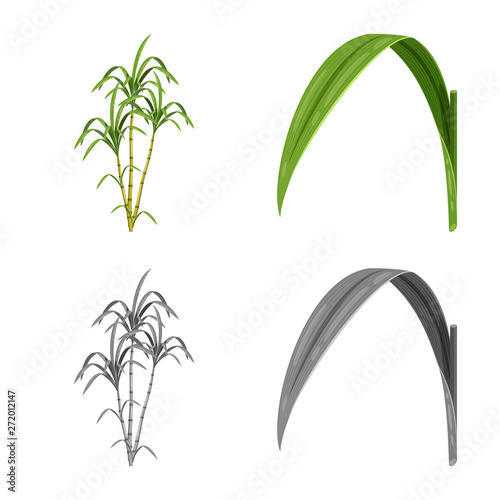 Vector design of farm and agriculture  sign. Collection of farm and technology stock symbol for web.