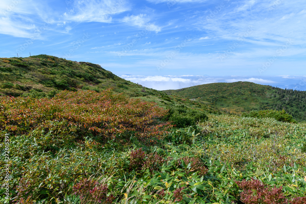秋の地蔵山と三宝荒神山 秋の地蔵山と三宝荒神山