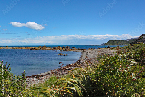 The rugged coastline at Moa Point near Wellington Airport