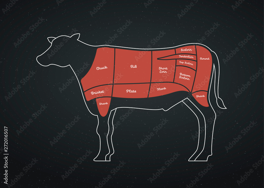 Vector beef steak diagram poster. American meat cutting. White flat cow ...