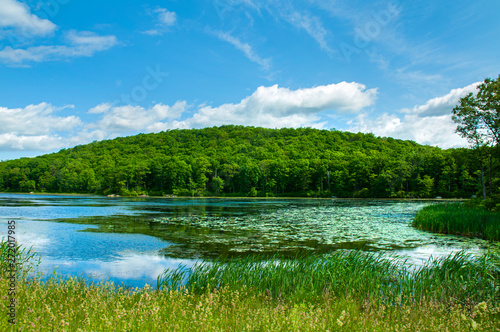 Landscape lake. Beautiful wild nature  forest. Lake with mirror reflections on sunny day.