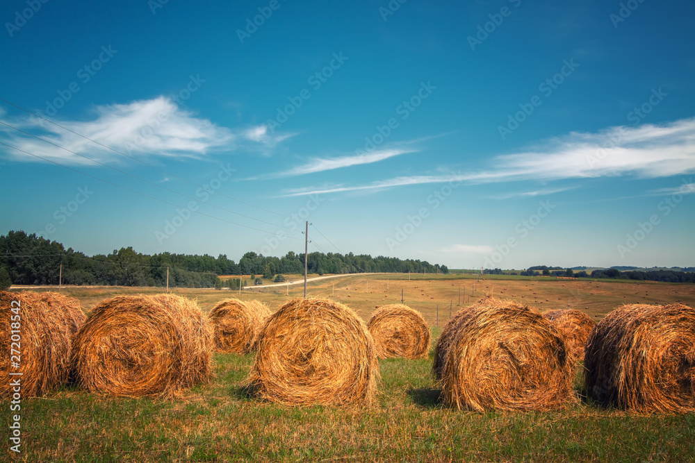 Hayfield. Hay harvesting Sunny autumn landscape. rolls of fresh dry hay in the fields. tractor collects mown grass. fields of yellow mown grass against a blue sky.