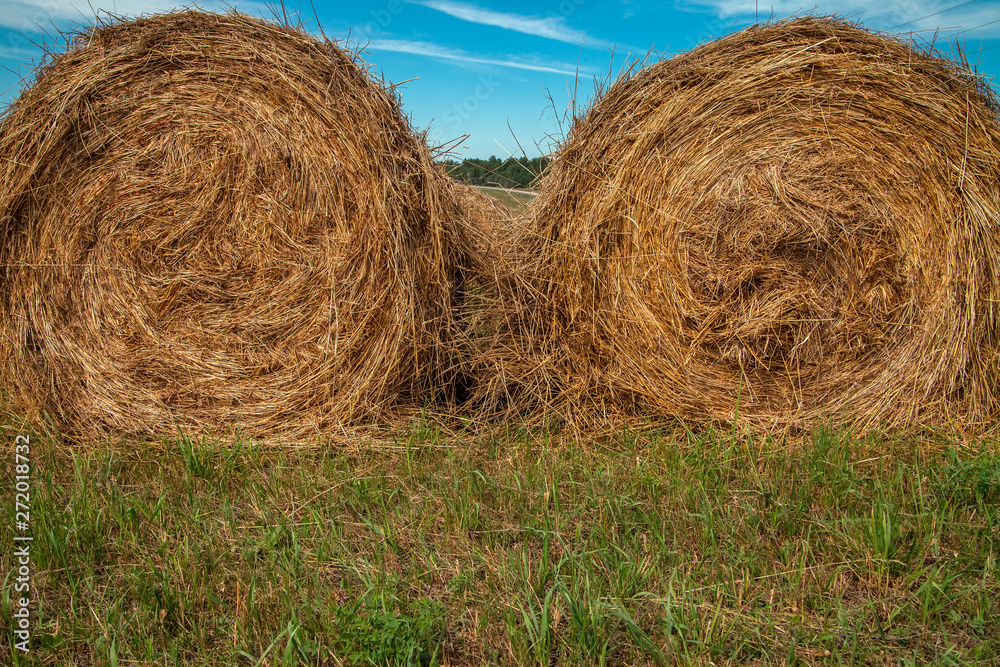 Hayfield. Hay harvesting Sunny autumn landscape. rolls of fresh dry hay in the fields. tractor collects mown grass. fields of yellow mown grass against a blue sky. Hayfield. Hay harvesting Sunny autumn landscape. rolls of fresh dry hay in the fields. tractor collects mown grass. fields of yellow mown grass against a blue sky.